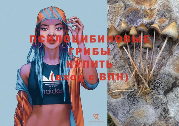 скорость Алексин