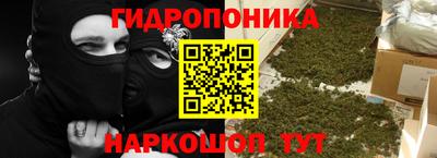 крисы Малоярославец