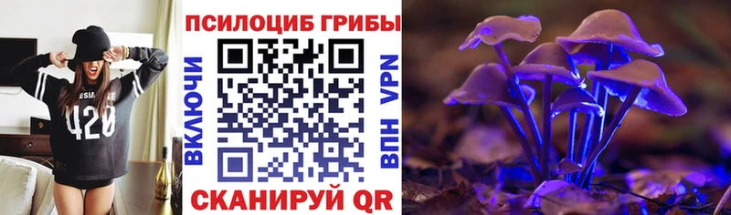 Псилоцибиновые грибы мухоморы  Тосно 
