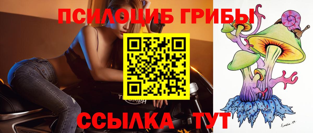 Псилоцибиновые грибы Magic Shrooms  Вход с VPN  Тосно 