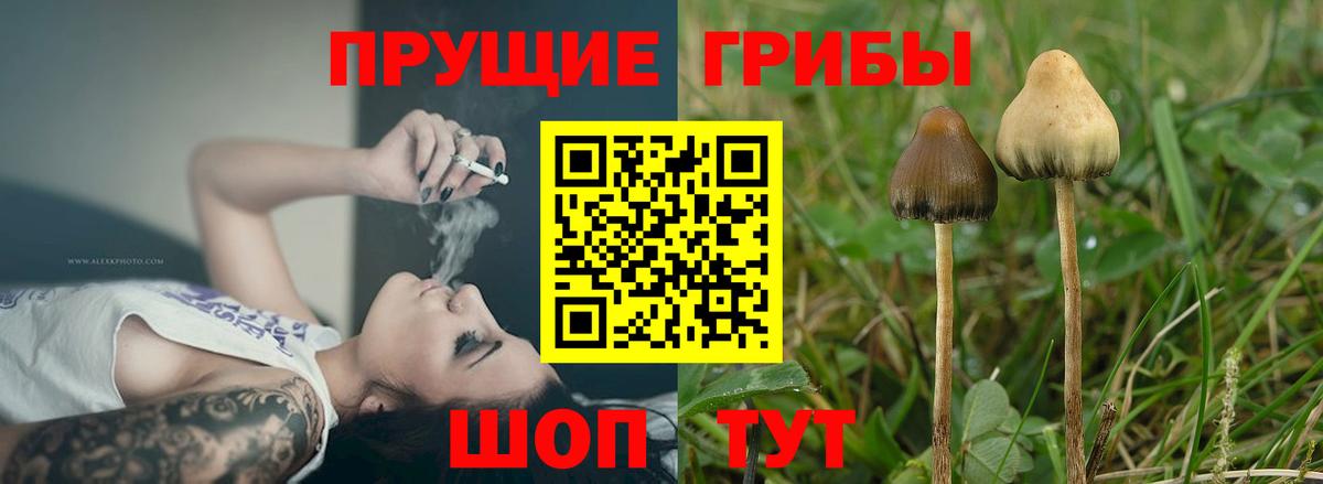 Псилоцибиновые грибы Magic Shrooms Тосно