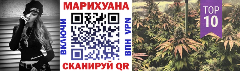 Бошки Шишки план  Тосно 